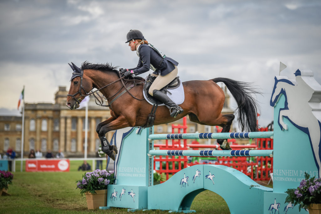 Blenheim Palace Show Jumping Horse