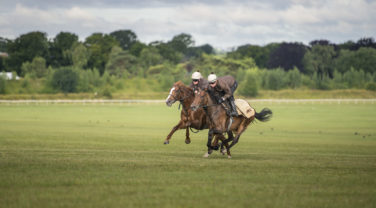 Horses being ridden in open field