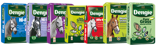 dengie forage replacers