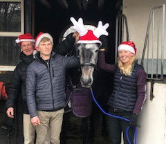 Christmas Horse 2018