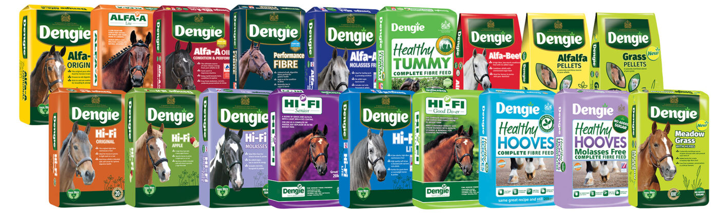 Dengie horse fibre feeds