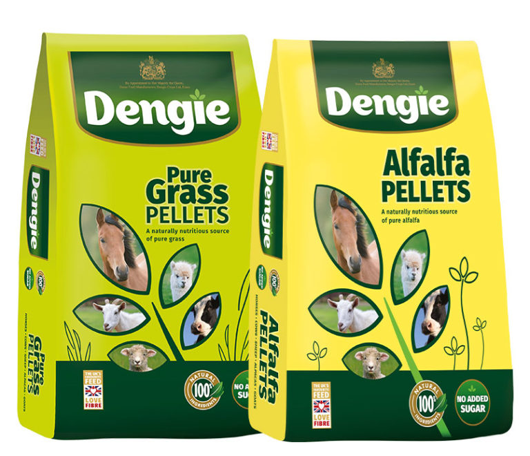 Low Sugar Low Starch Feed For Your Horses Treat Ball Dengie