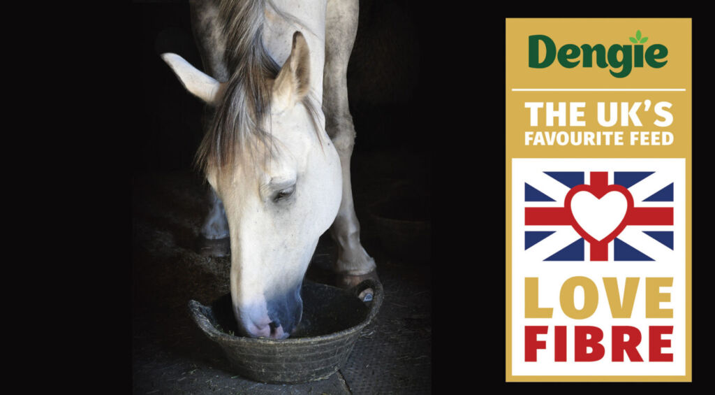 Dengie Horse Feed UK Favourite Horse Feed
