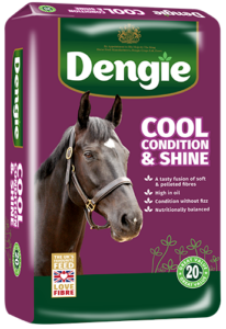Cool, Condition & Shine