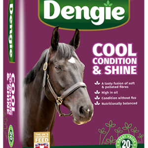Cool, Condition & Shine