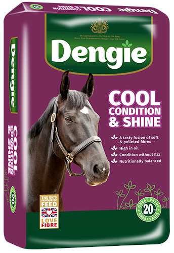 Cool, Condition & Shine