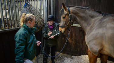 horse nutritionist giving advice to horse owner