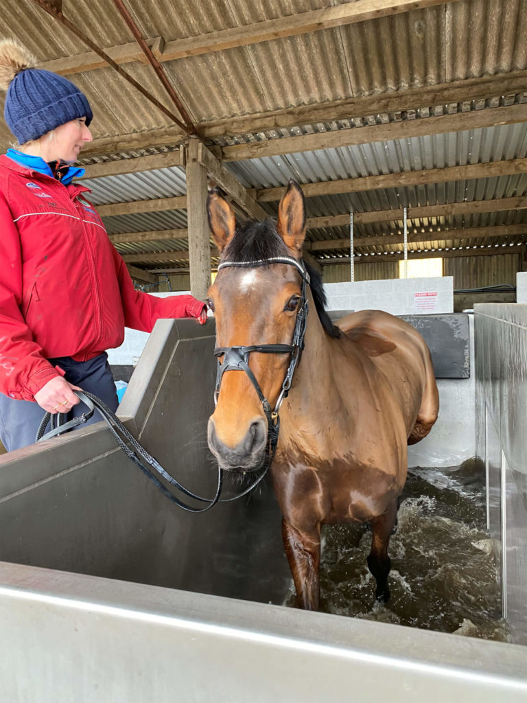 Horse in water