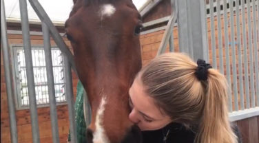 Girl kissing horse on nose