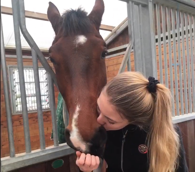 Girl kissing horse on nose