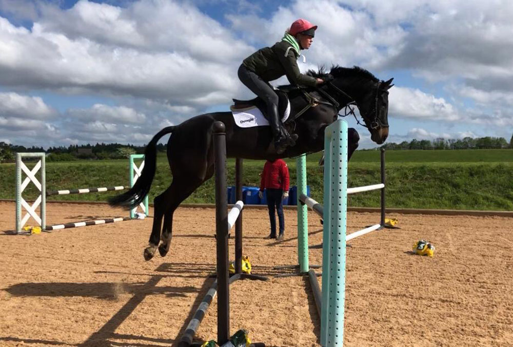 horse jumping in arena