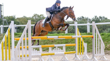 Horse and rider showjumping