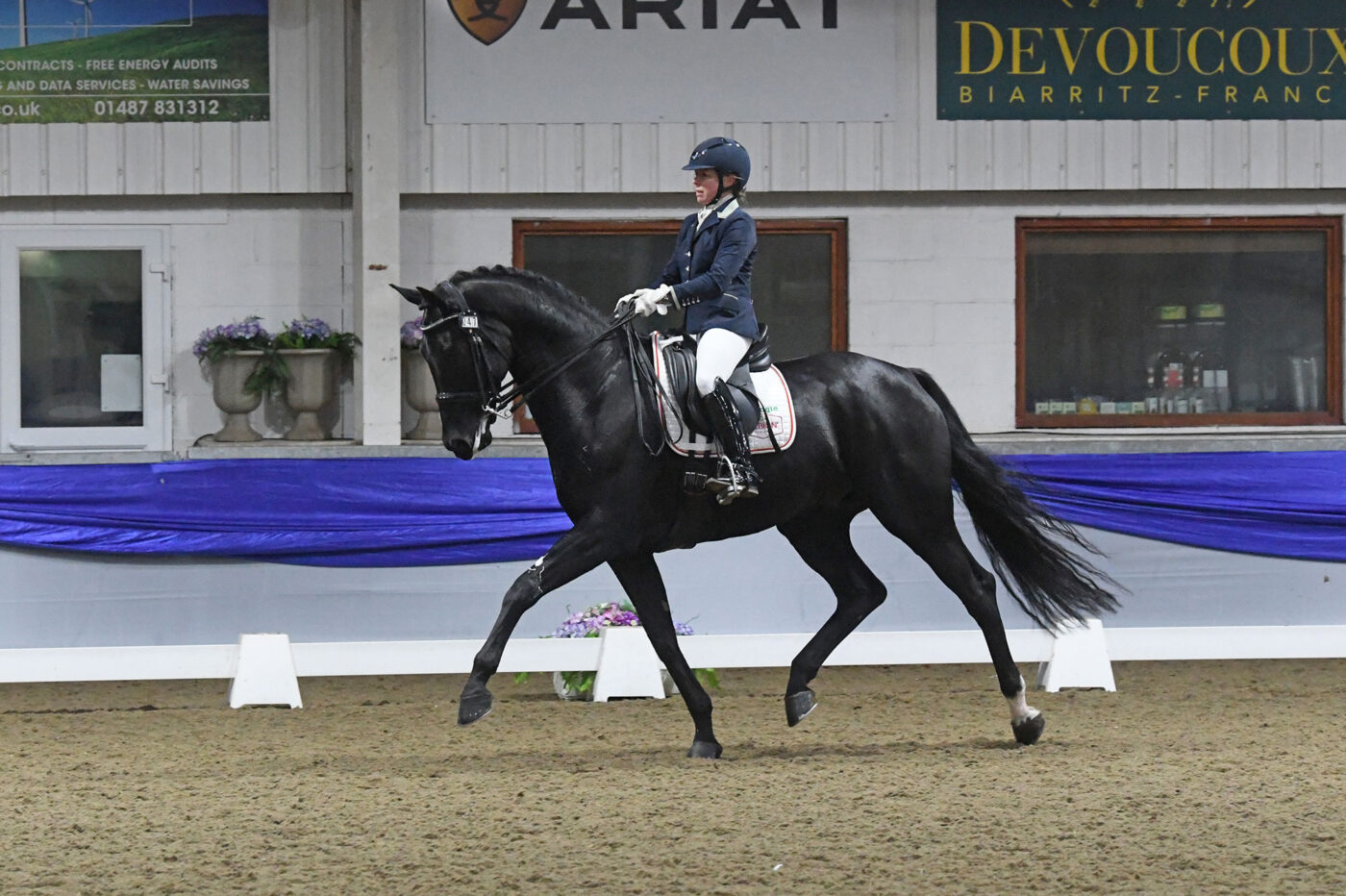 Hannah Esberger-Hancock and Iggy Pop - BD Young Horse Championships