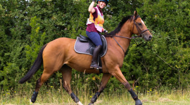 Horse and rider long distance ride