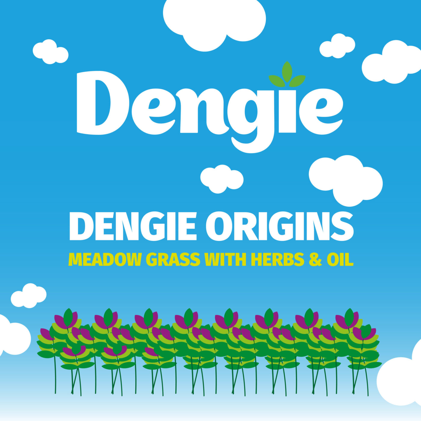 Dengie Meadow Grass