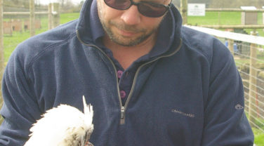 Andy Cawthray with a Poland Chicken