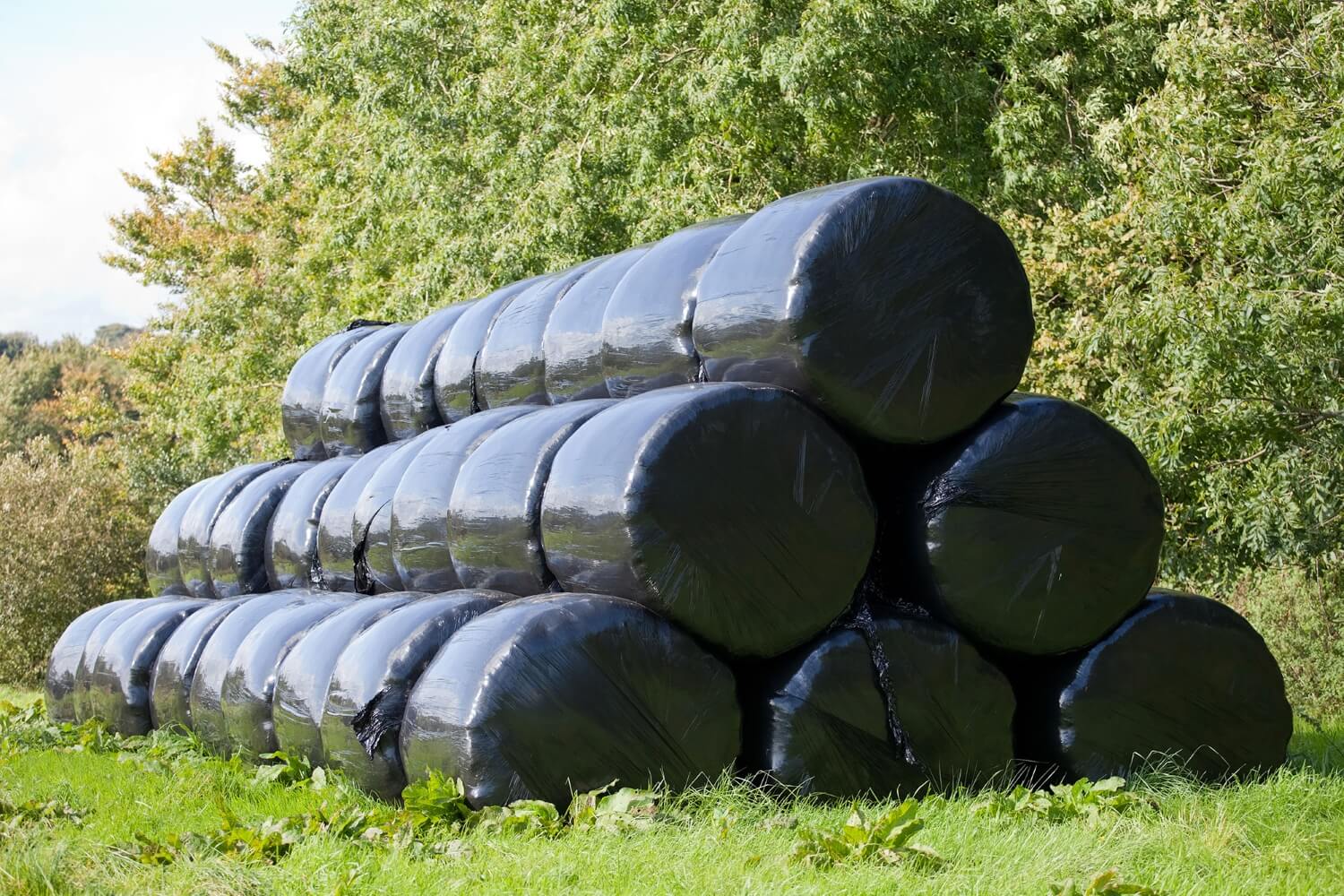 wrapped hay, haylage