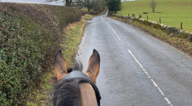 horse hacking along country road