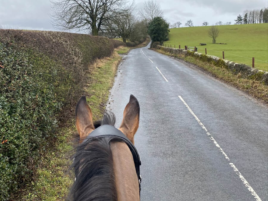 horse hacking along country road