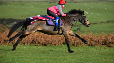 girl and pony galloping