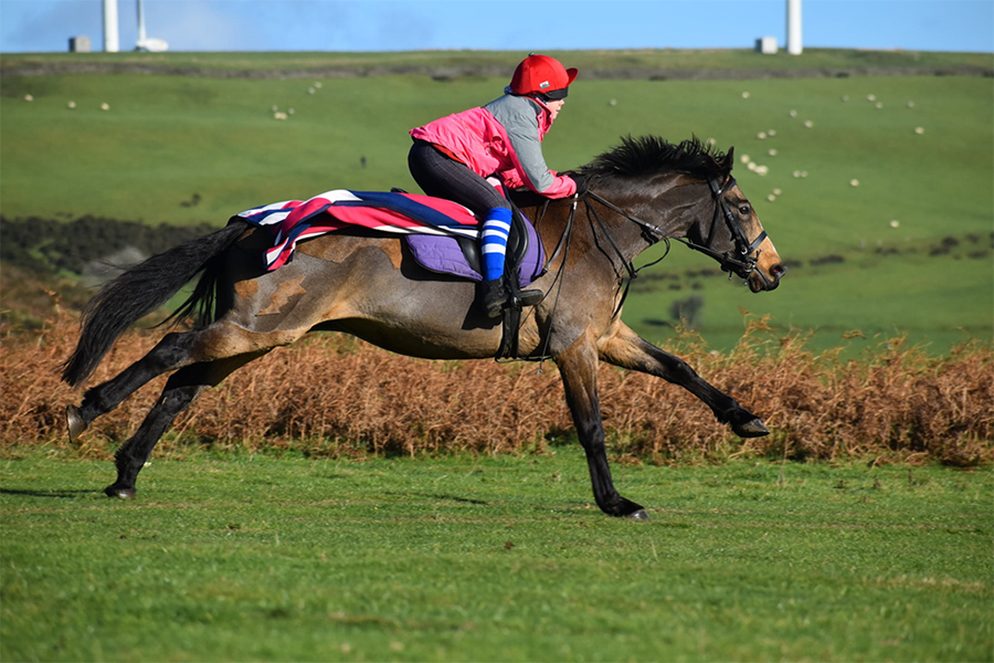 girl and pony galloping