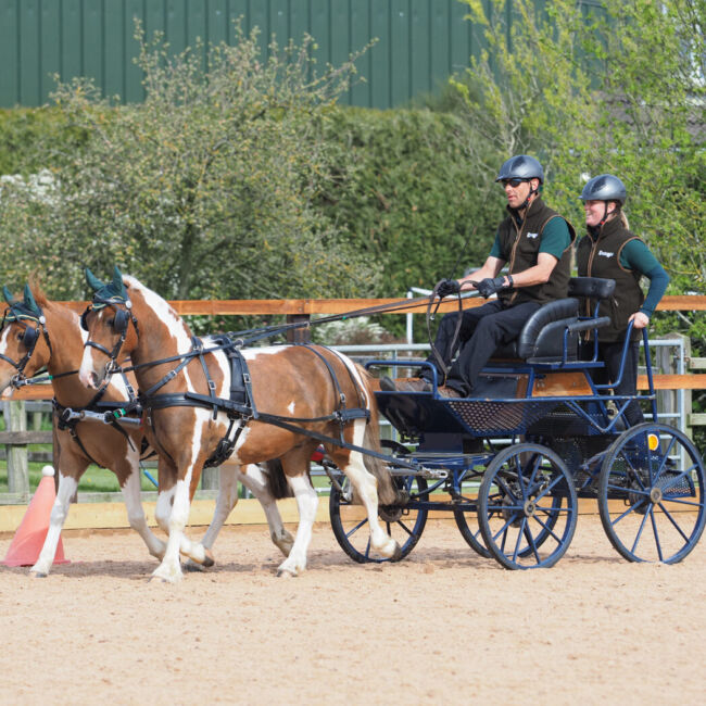 Hope and Star Driving Ponies