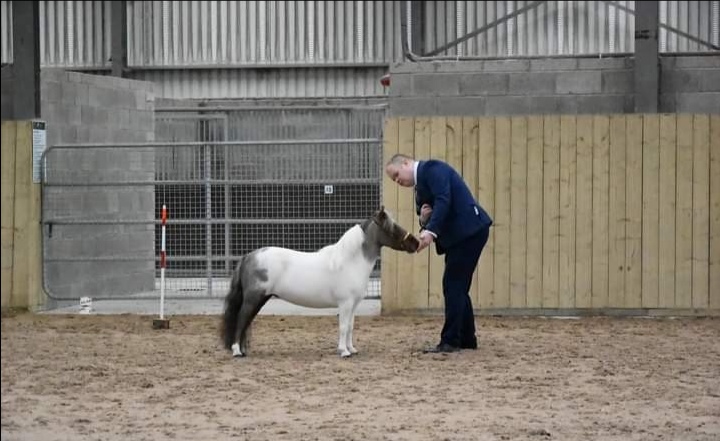 Shane OConnor and Shammy at a show