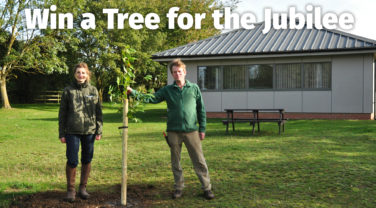 planting a tree for the jubilee