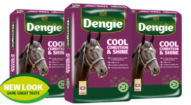 Cool, Condition & Shine Horse Feed