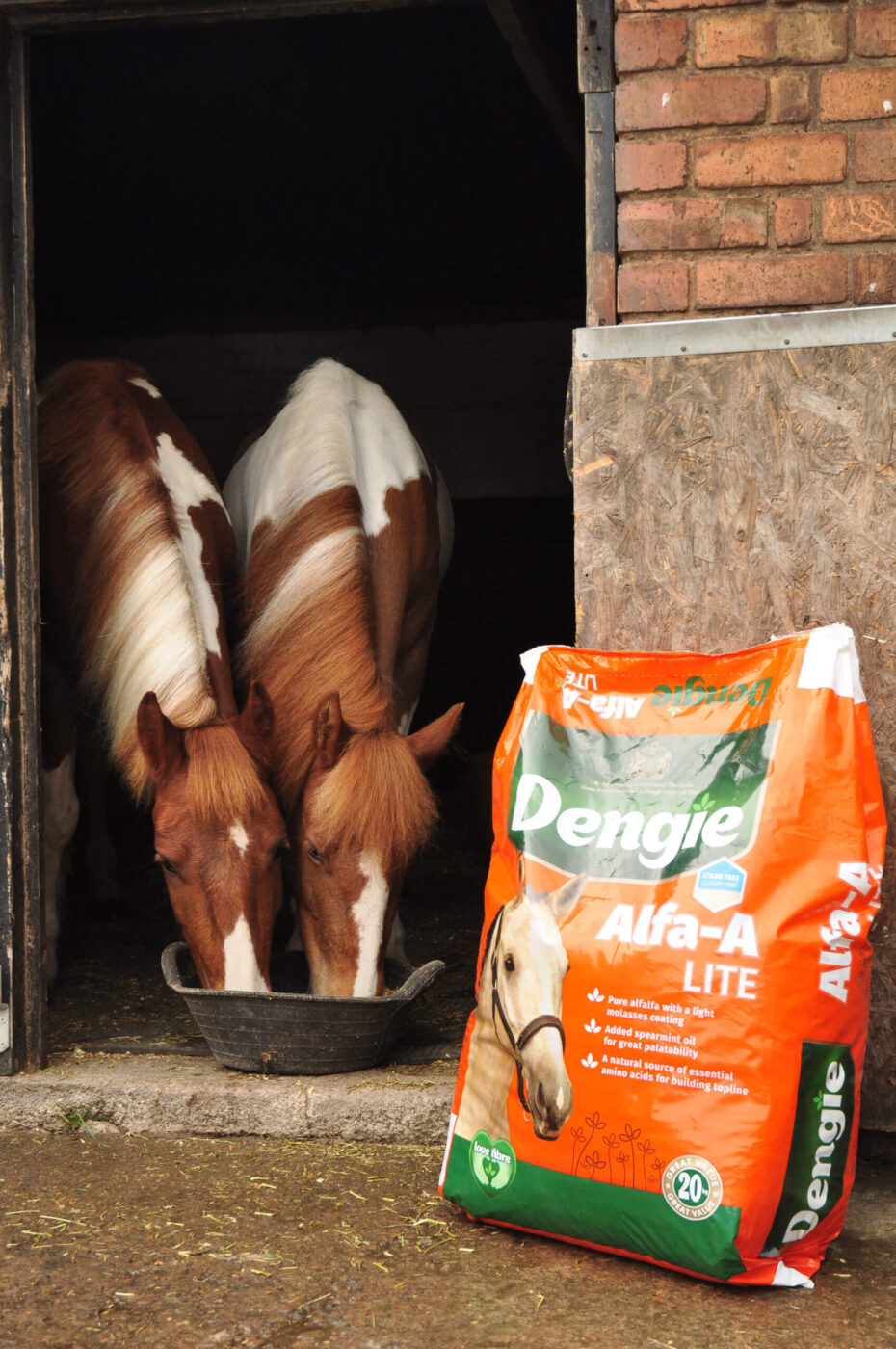 Hope and Star eating Alfa-A Lite