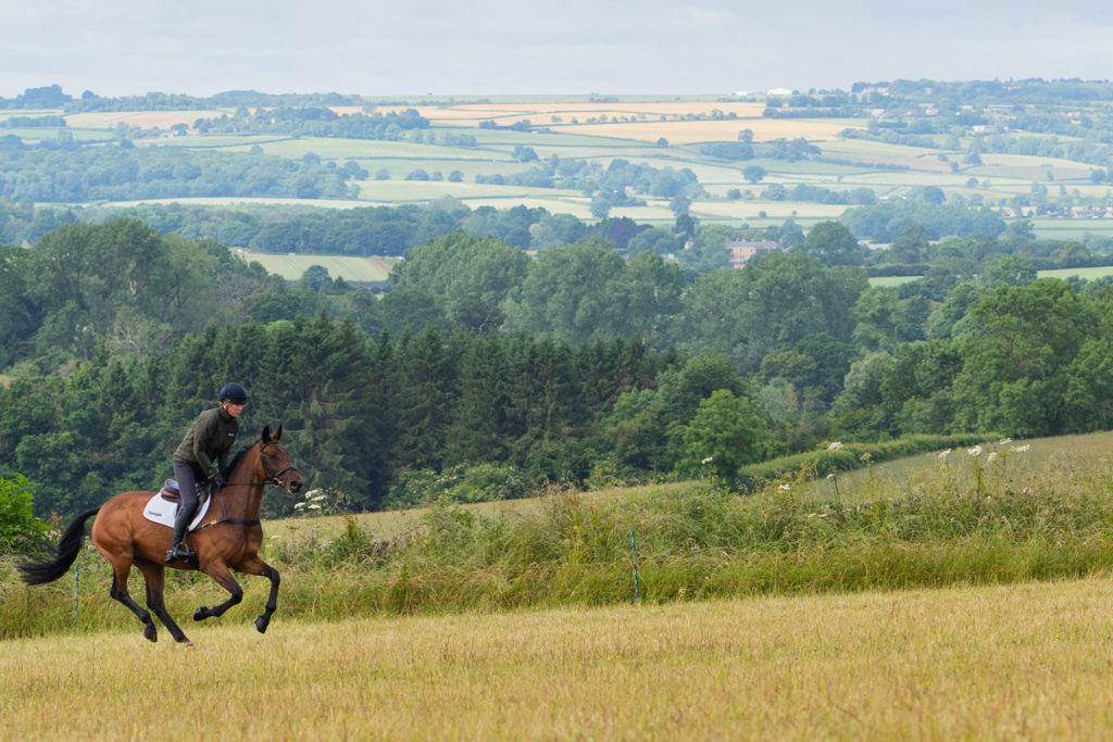 Horse and rider galloping up hill