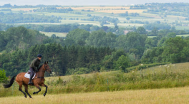 Horse and rider galloping up hill