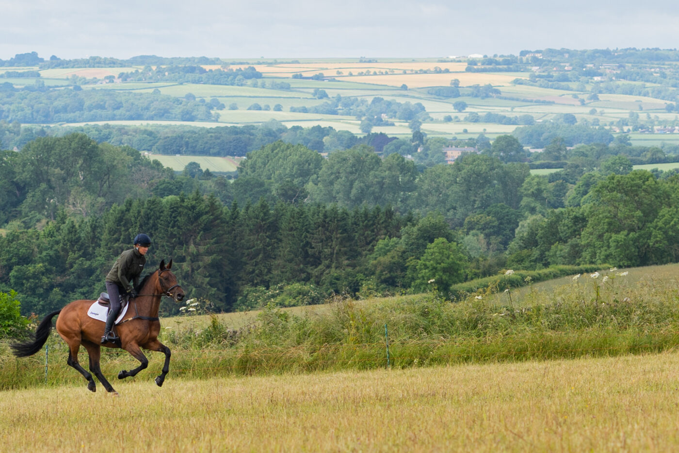 Horse and rider galloping up hill