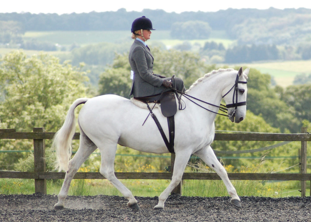 Lady riding side saddle