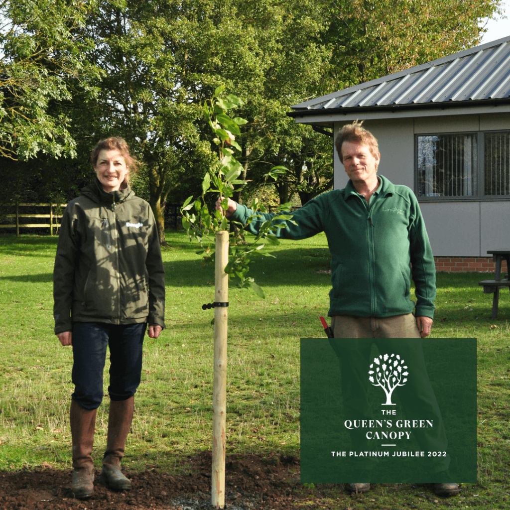 Tree planted for Queen's Green Canopy