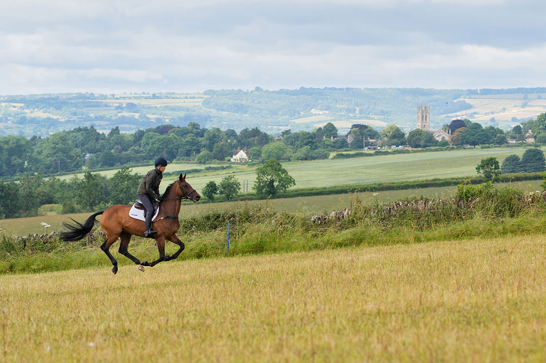 Horse Riding