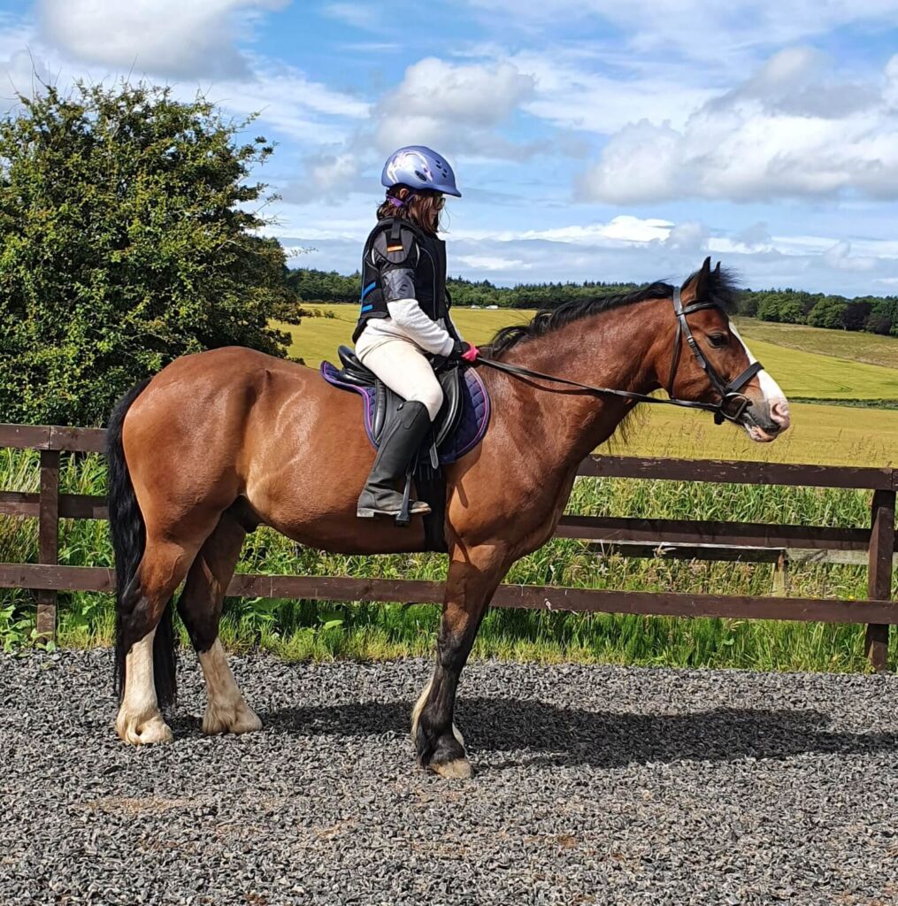 horse being ridden