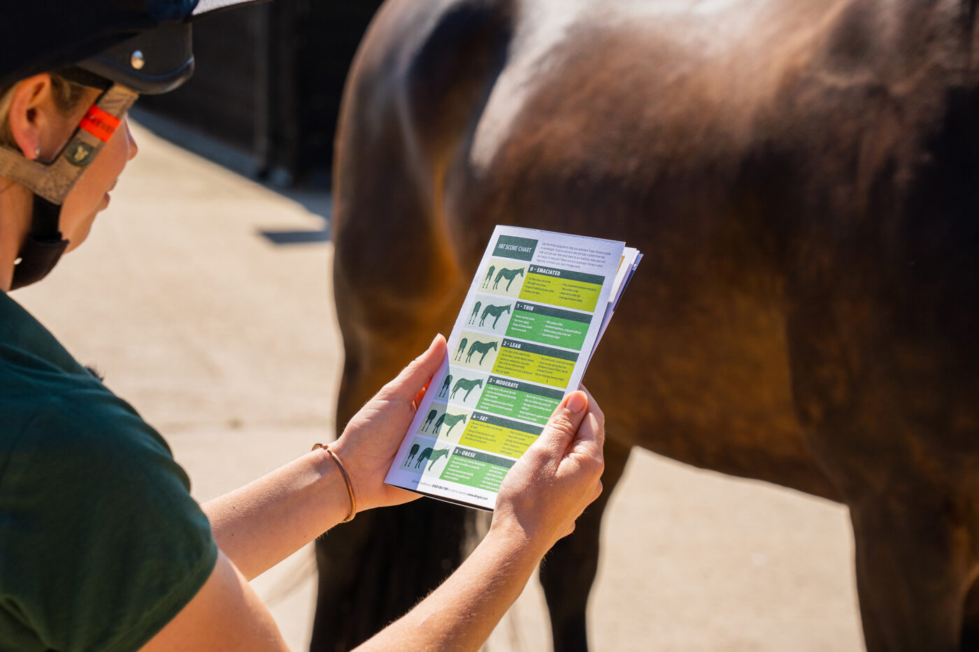 Assessing horses condition