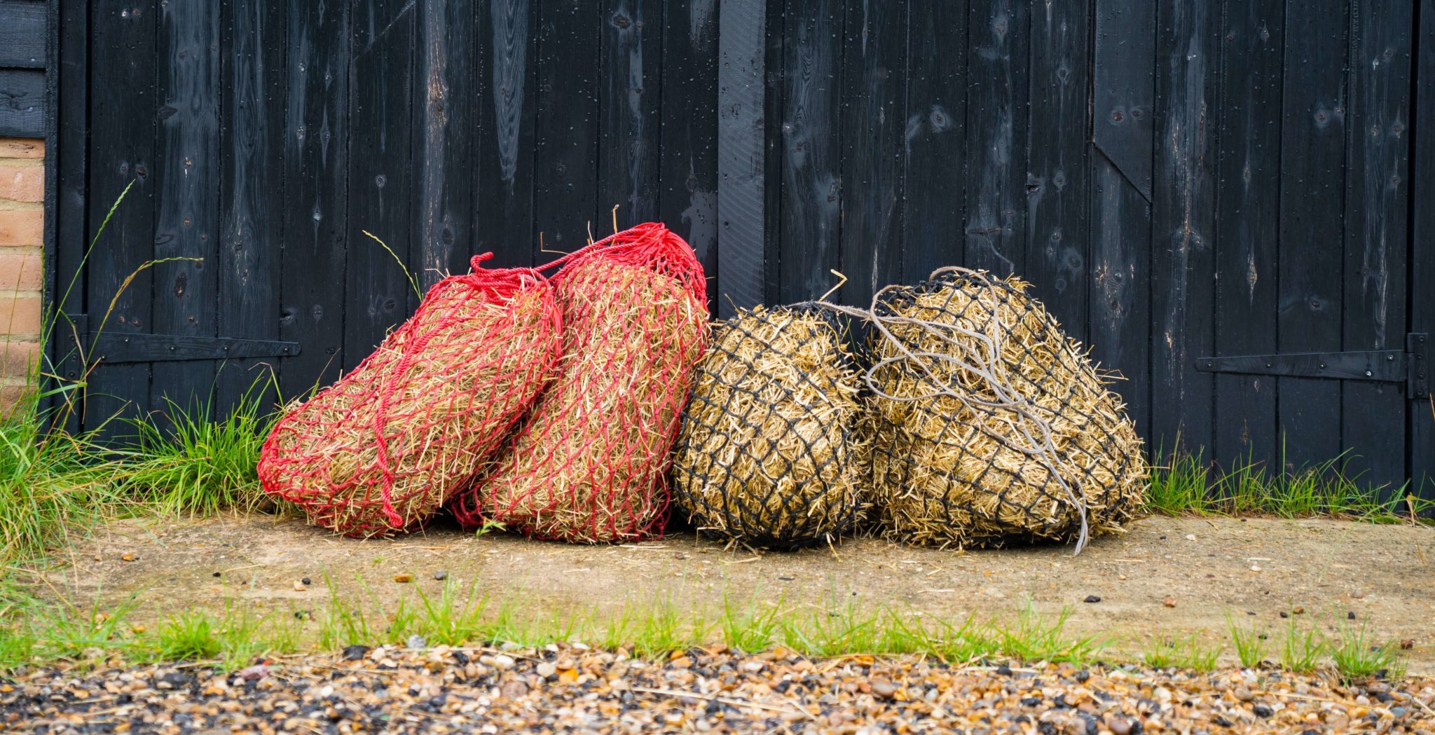 Forage Analysis Dengie Horse Feeds forage-analysis-dengie-horse-feeds