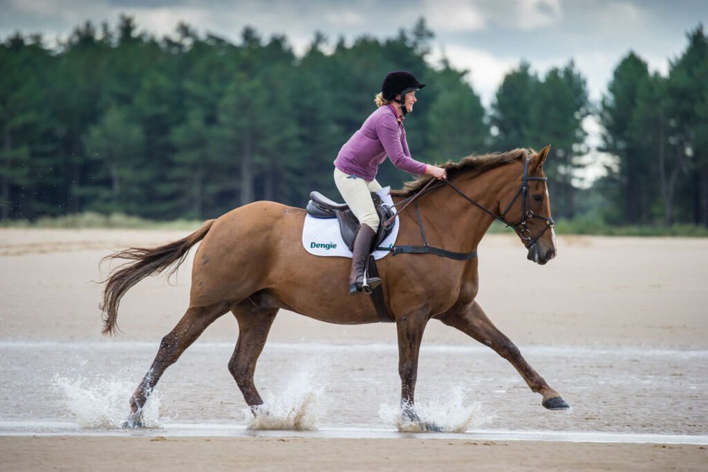 horse and rider on beach