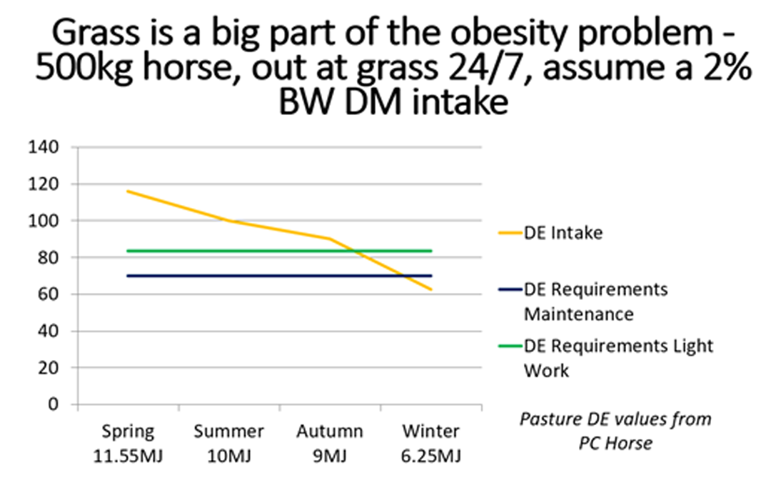 Energy Intake from grazing graph