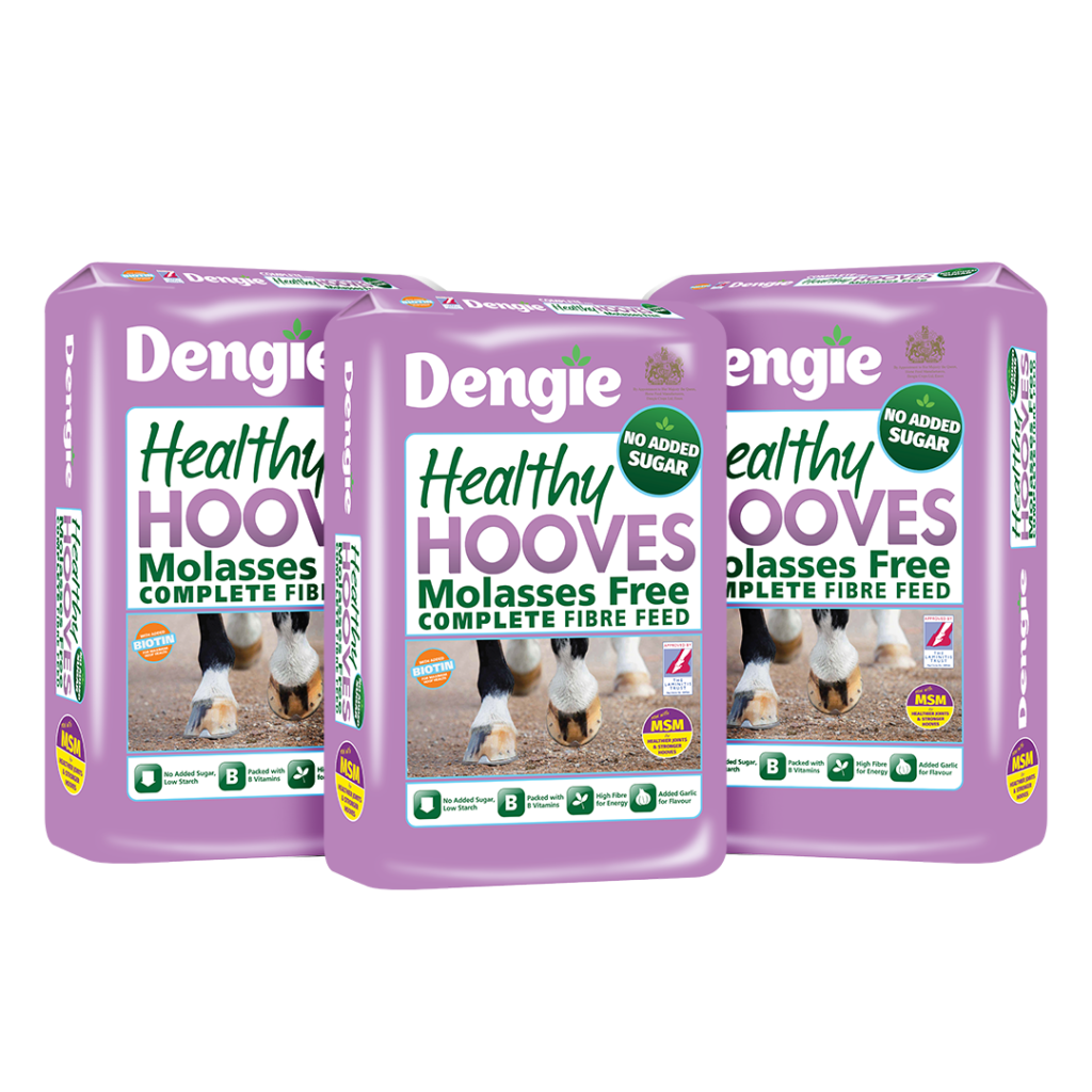 Dengie Healthy Hooves Molasses Free