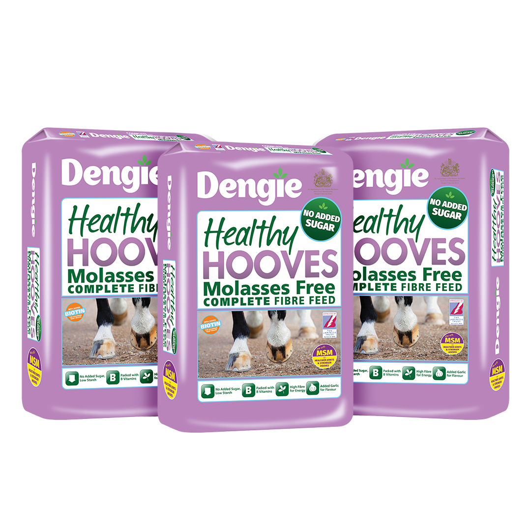 Dengie Healthy Hooves Molasses Free Now with MSM