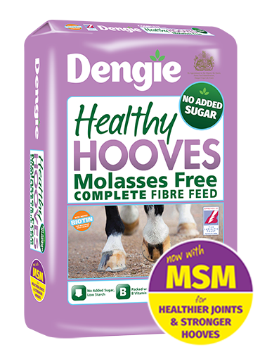 Healthy Hooves Molasses Free with MSM