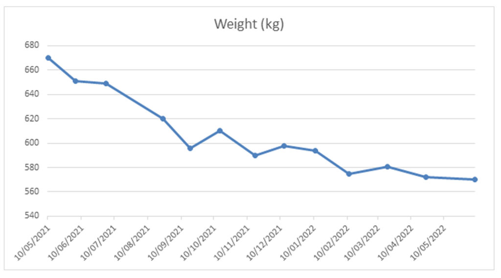 Rylands weightloss chart