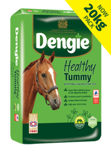 Healthy Tummy 20kg packshot