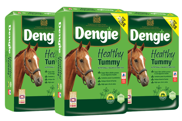Dengie Healthy Tummy Now Available in Great Value 20kg Bale