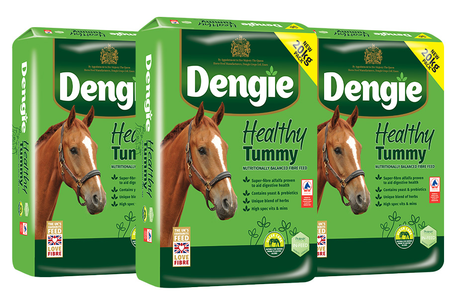 Dengie Healthy Tummy Group