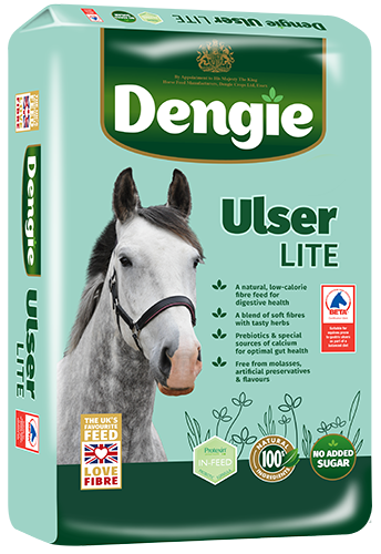Ulser Lite