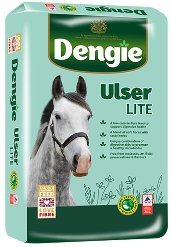 Ulser Lite